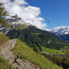 Wandervorschläge, nik's b&B Angelmountain