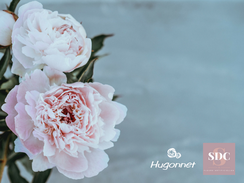 Hugonnet, fleurs artificielles BtoB