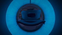 Computational Life Sciences