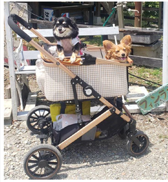 思い出の品としてバギーの制作依頼を頂きました