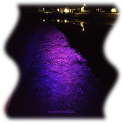 NKO Illum Laser Magenta