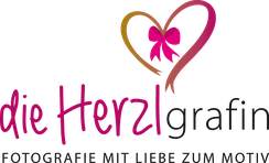 Dekoration-und-kochen Logos Grafik Jennifer Horn