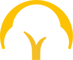 shining tree logo about