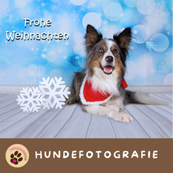 Hundefotografie München Ost