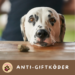 Anti-Giftkoeder-Training München Ebersberg