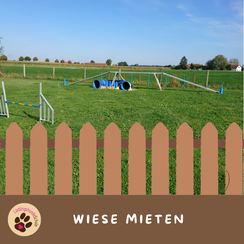 Hundetreffen München Ebersberg
