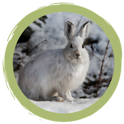 Eure Ergebnisse der Foto-Challenge: #winterlaune