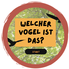 Welche Vogel ist das?