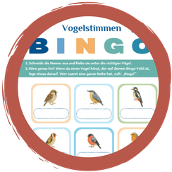 Vogelstimmen-Bingo