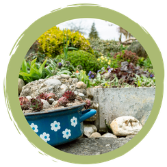 Insektenfreundlich durchs Jahr