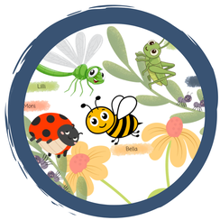 Insekten Steckbriefe