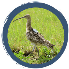 Mit dem Rucksack auf Forschungsreise