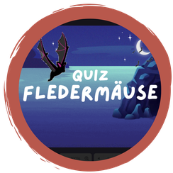 Fledermaus-Quiz - der Wissens-Check!