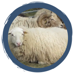 Folge 6: Entspannt in den Frühling