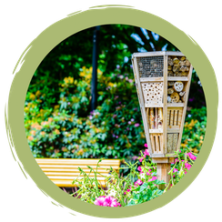 Tipps und Tricks für einen Insektengarten