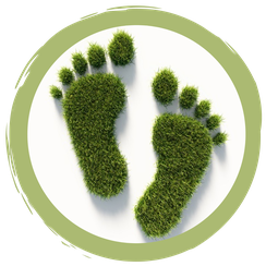 Mit Big Points den Fußabdruck halbieren