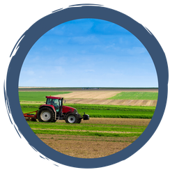 Landwirtschaft - Opfer und Täter im Klimawandel