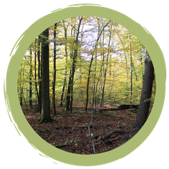 Der Spessart als Urlaubsregion