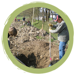 Challenge: Heckensträucher pflanzen –  Familie & Natur etwas Gutes tun