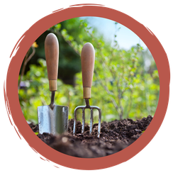 Challenge: #insektengarten