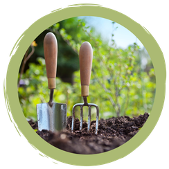 Challenge: #insektengarten