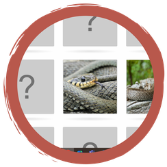 Online Schlangen-Memory