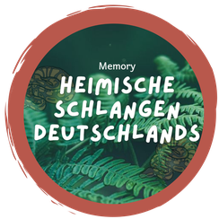 Online Schlangen-Memory