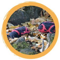 Häkelanleitung Feuerwanze