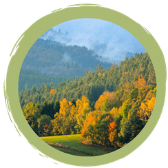 Unterstützung für den Luchs: 6 Tipps