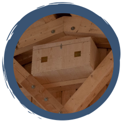 Mit dem Experten vor Ort am Nistplatz der Schleiereulen