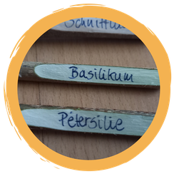 Pflanzstecker basteln