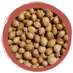 Spielideen mit Kirschkernen