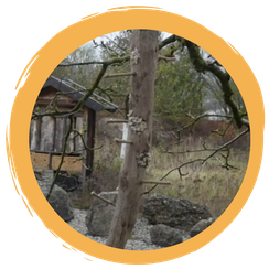 Anleitung: Vogelfuttersäule bauen