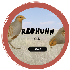 Rebhuhn-Quiz