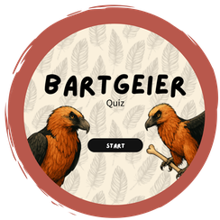 Ein Bartgeierquiz...
