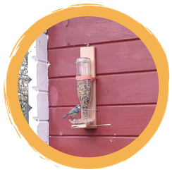 Vogelfutterspender mit Nachfüllfunktion bauen