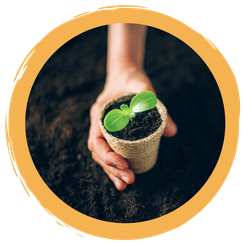 DIY Anzuchttöpfchen