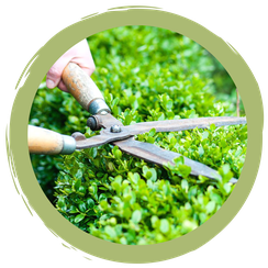 Mehr Nachhaltigkeit in der Hecke