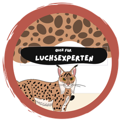 Wie gut kennt ihr den Luchs – den heimlichen König unserer Wälder?