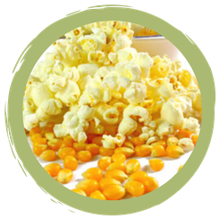 Kinoabend fürs Klima