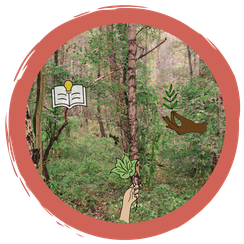 Bäume und Sträucher im Portrait - mit Rezepten