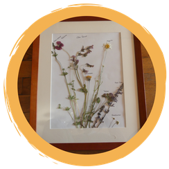 Ein Wiesenbild basteln