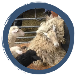 Folge 11: Schönheitssalon