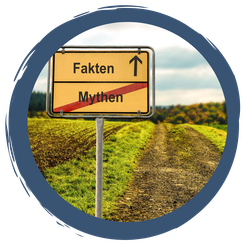 Insekten: Mythen & Fakten