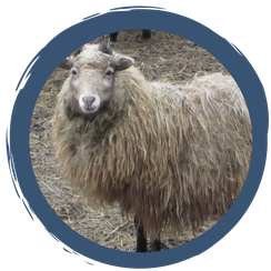 Folge 3: Ein sehr aufregender Tag