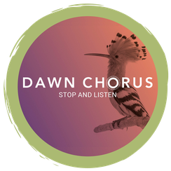 Mitmachaktion: Dawnchorus 2022