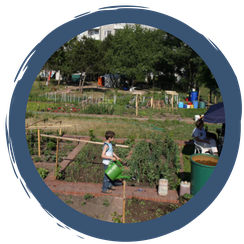 Selbstversorgung ohne eigenen Garten