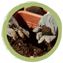 Dünger selbstgemacht