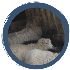 Folge 4: Frühstücksfreuden