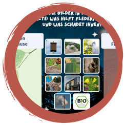 Fledermaus-Quiz: Was mögen sie - was nicht?